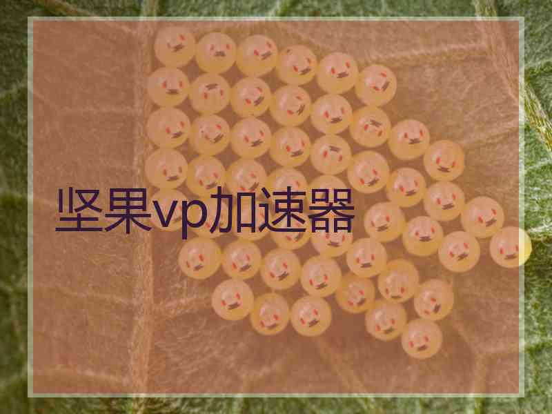 坚果vp加速器