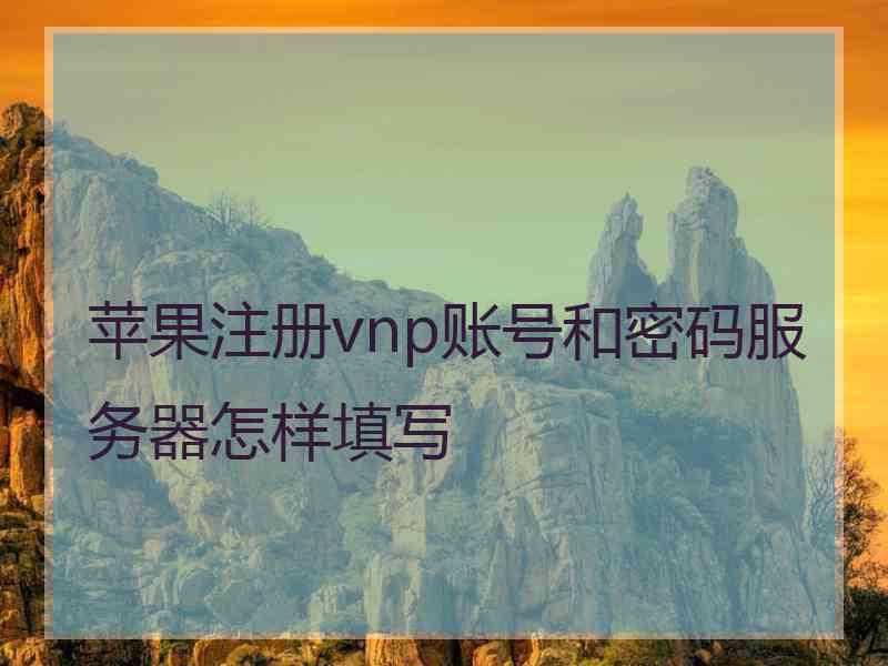 苹果注册vnp账号和密码服务器怎样填写