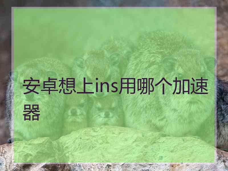 安卓想上ins用哪个加速器