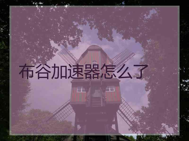 布谷加速器怎么了