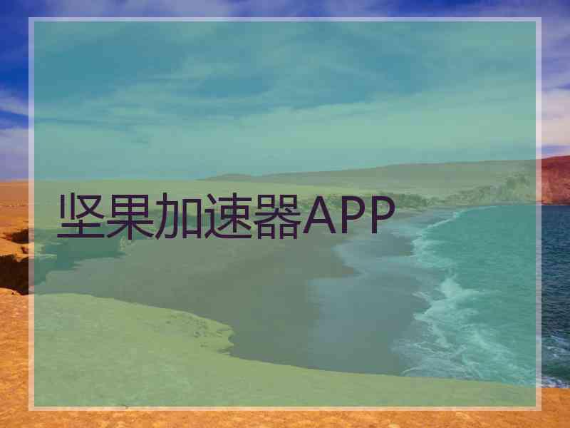 坚果加速器APP