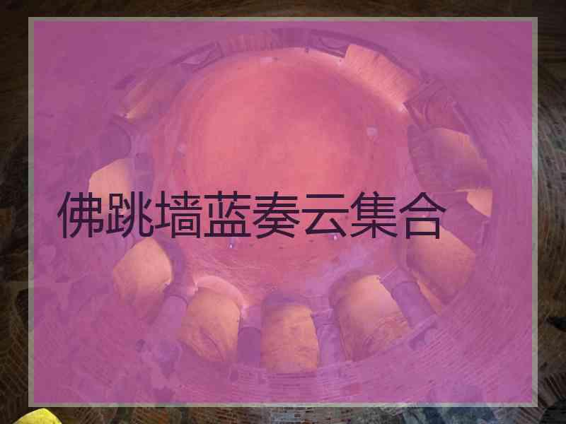 佛跳墙蓝奏云集合