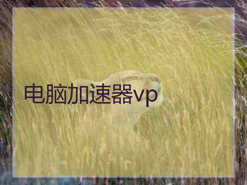 电脑加速器vp