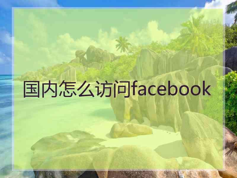 国内怎么访问facebook