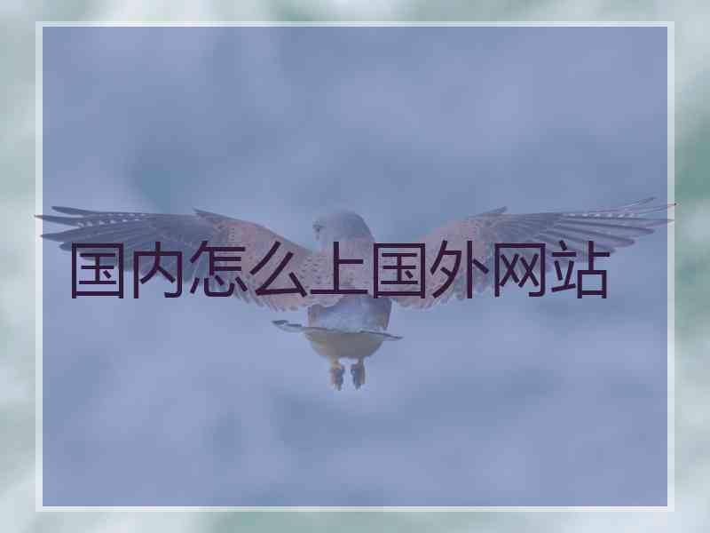 国内怎么上国外网站