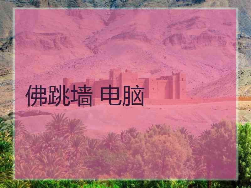 佛跳墙 电脑