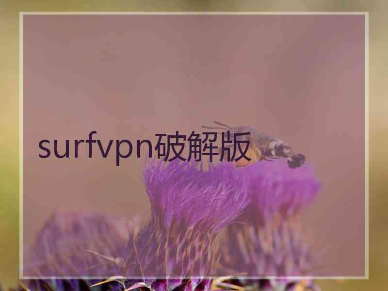 surfvpn破解版