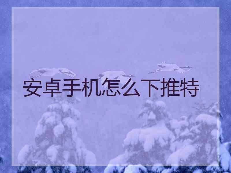 安卓手机怎么下推特