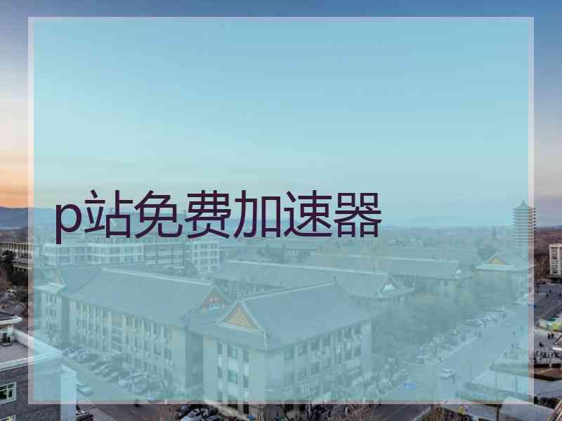 p站免费加速器
