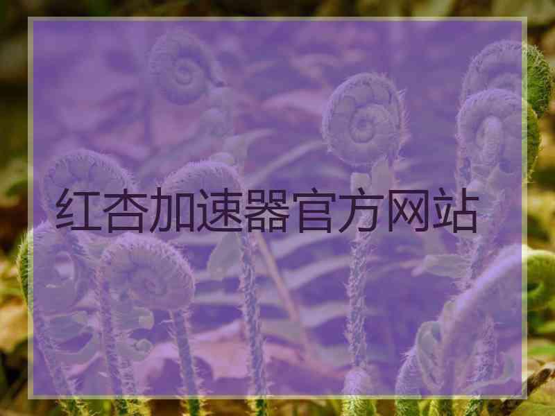 红杏加速器官方网站