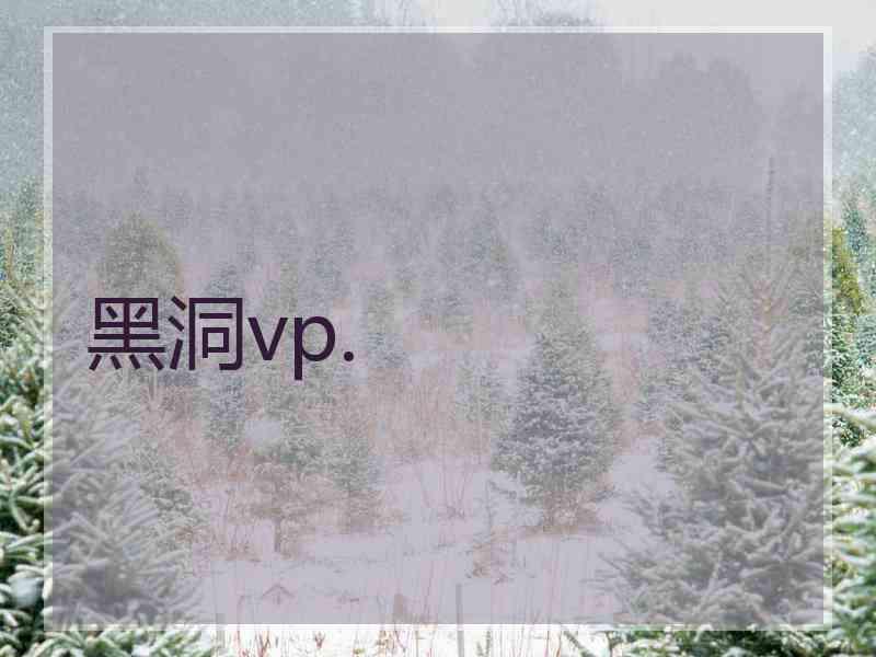 黑洞vp.