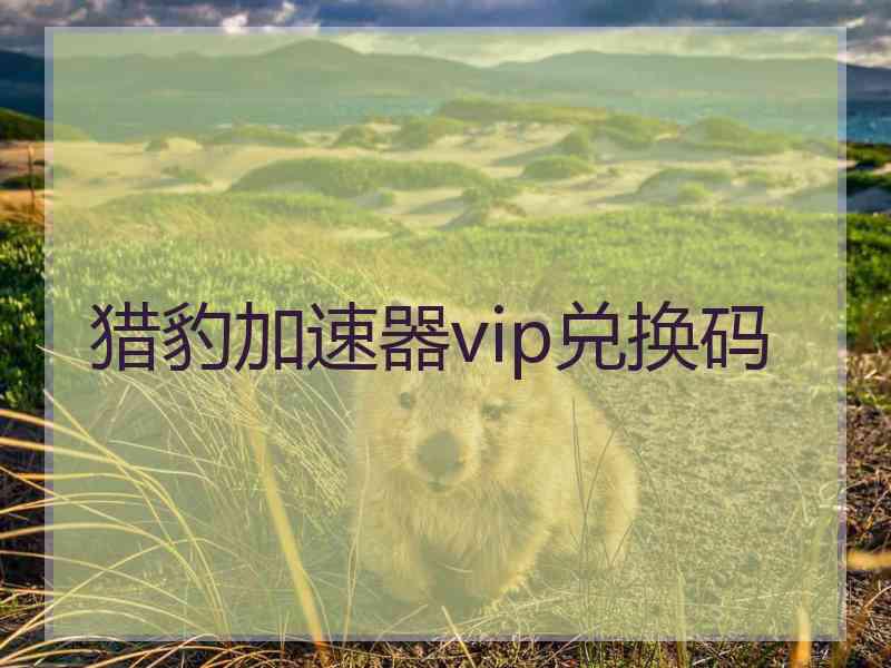 猎豹加速器vip兑换码