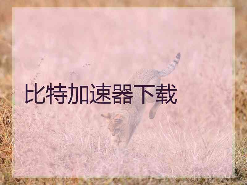 比特加速器下载