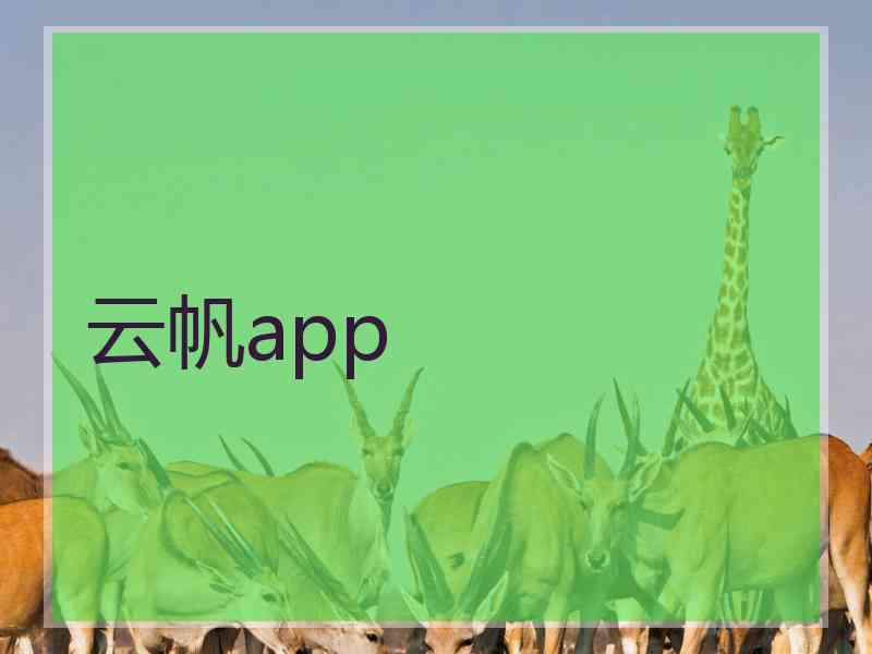 云帆app