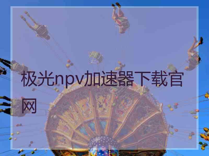 极光npv加速器下载官网