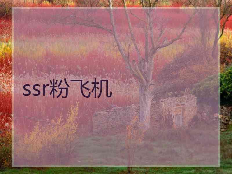 ssr粉飞机