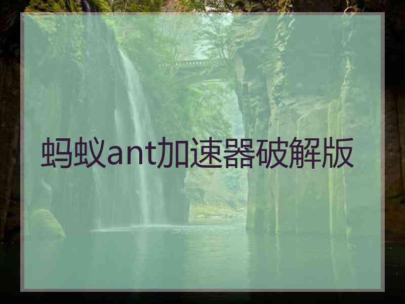 蚂蚁ant加速器破解版
