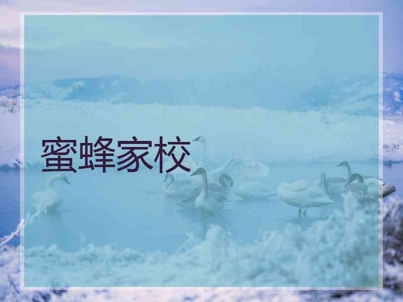 蜜蜂家校
