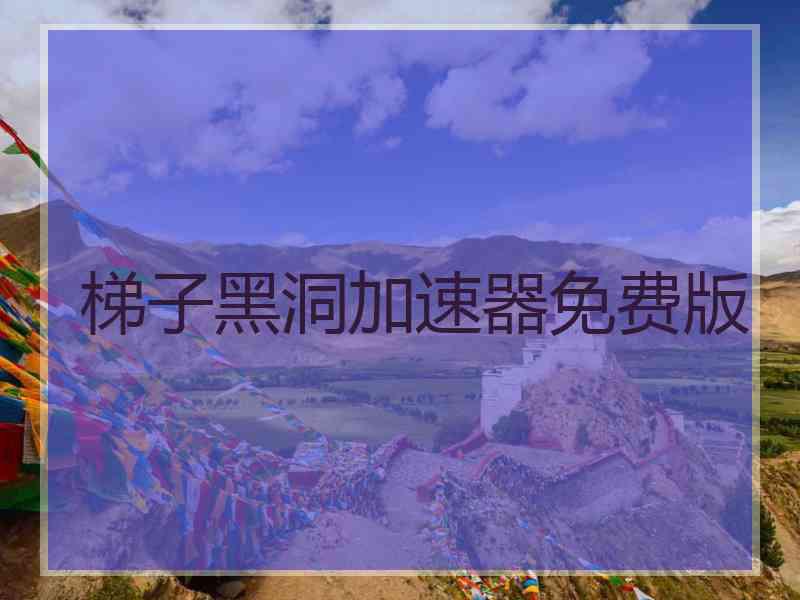 梯子黑洞加速器免费版