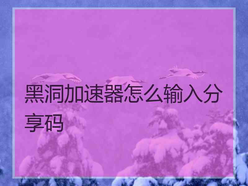 黑洞加速器怎么输入分享码