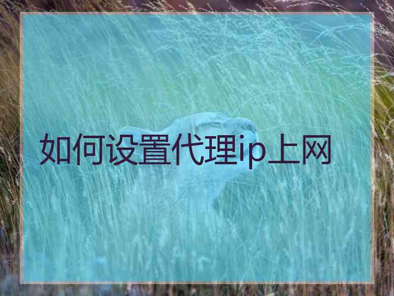 如何设置代理ip上网