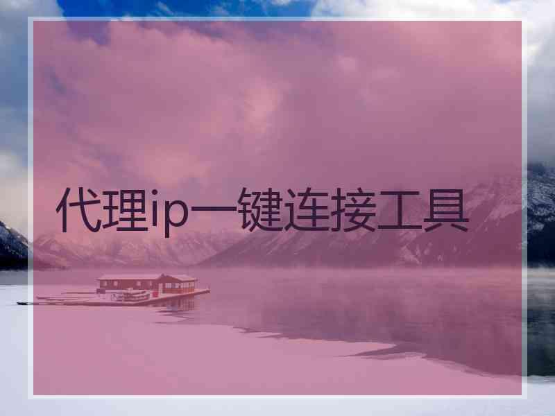 代理ip一键连接工具