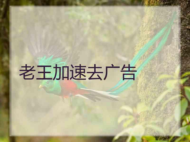 老王加速去广告