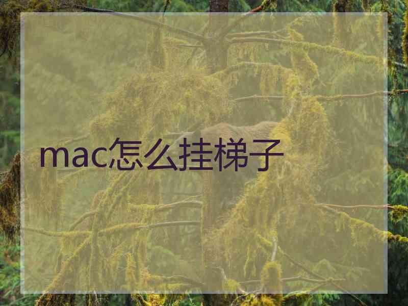 mac怎么挂梯子