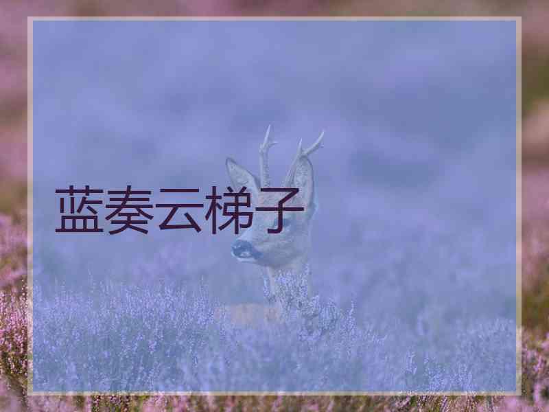 蓝奏云梯子
