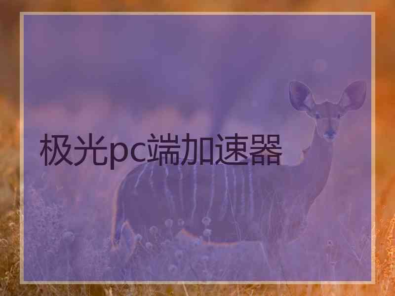 极光pc端加速器