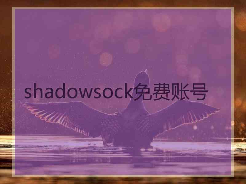 shadowsock免费账号
