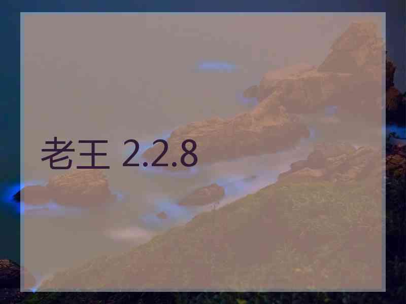 老王 2.2.8