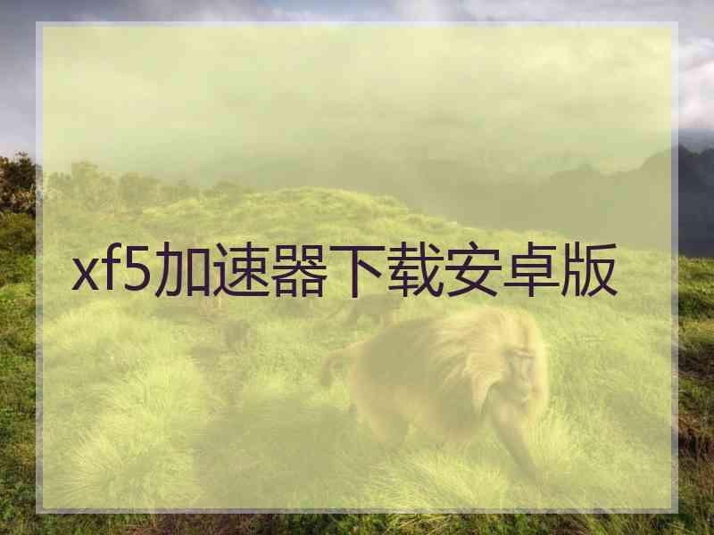 xf5加速器下载安卓版