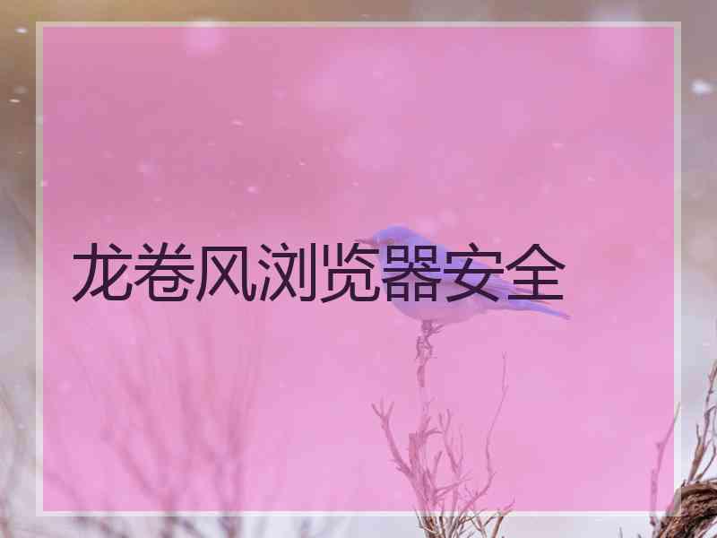 龙卷风浏览器安全