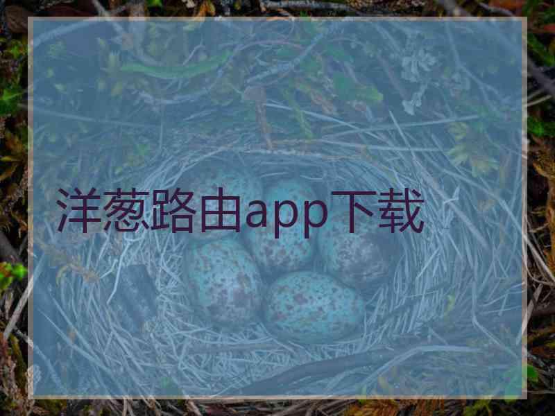 洋葱路由app下载