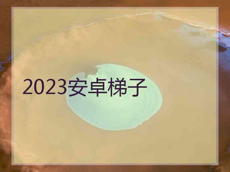 2023安卓梯子