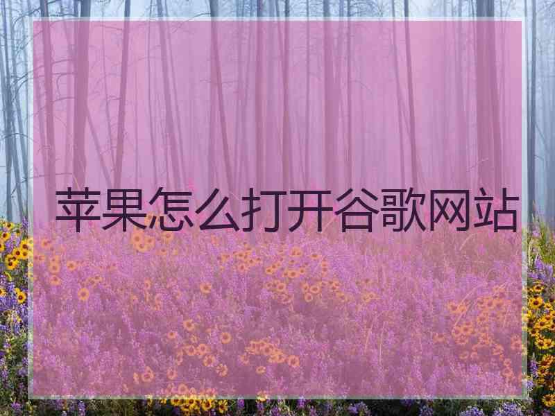 苹果怎么打开谷歌网站