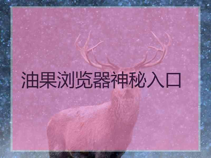 油果浏览器神秘入口