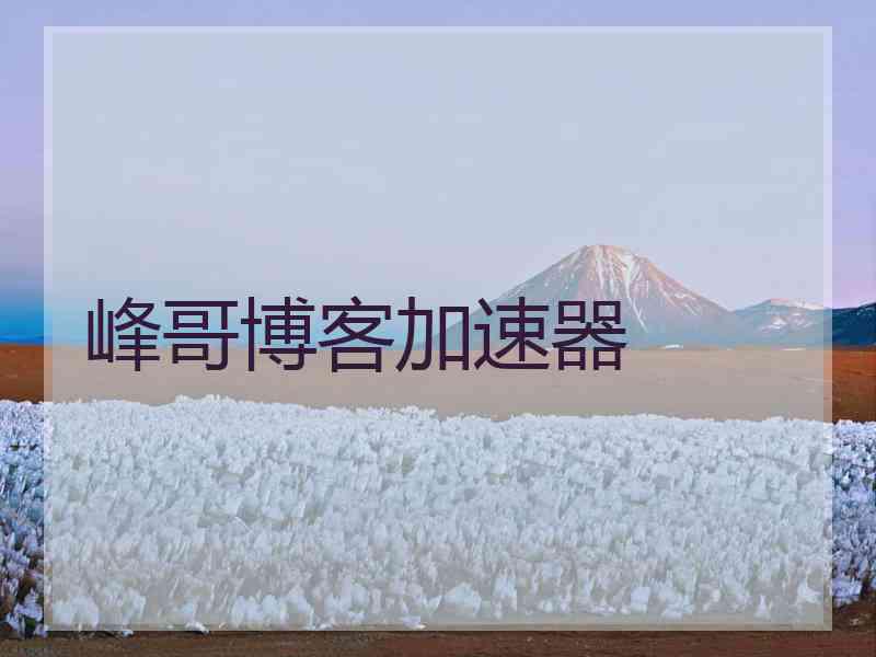峰哥博客加速器