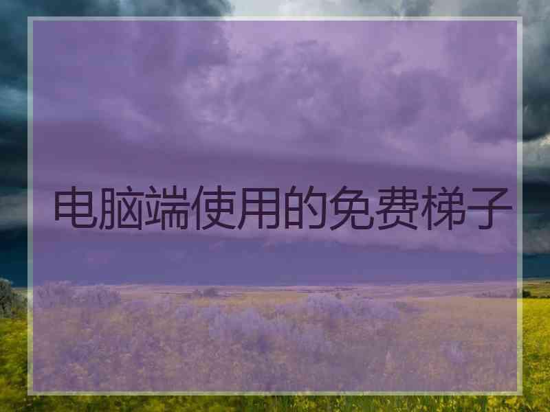 电脑端使用的免费梯子
