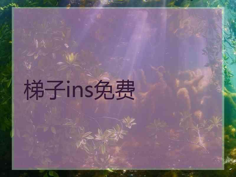 梯子ins免费