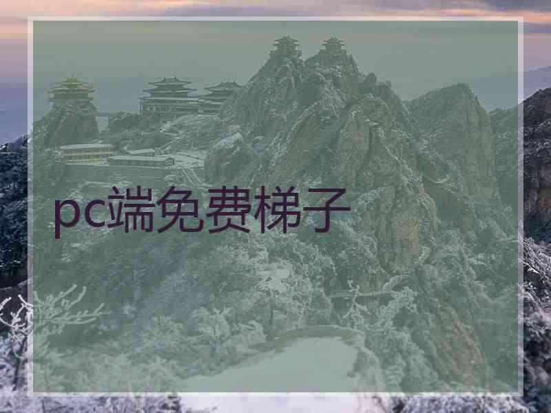 pc端免费梯子