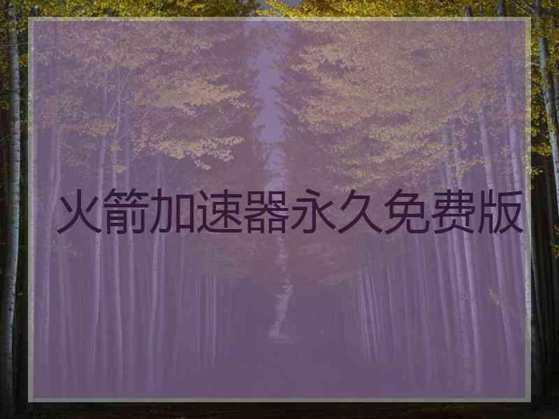 火箭加速器永久免费版