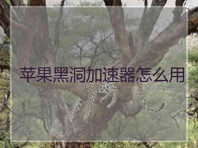 苹果黑洞加速器怎么用