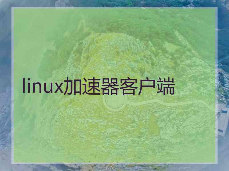 linux加速器客户端