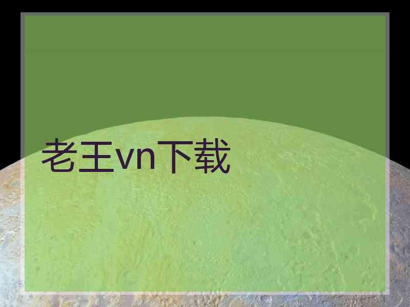 老王vn下载