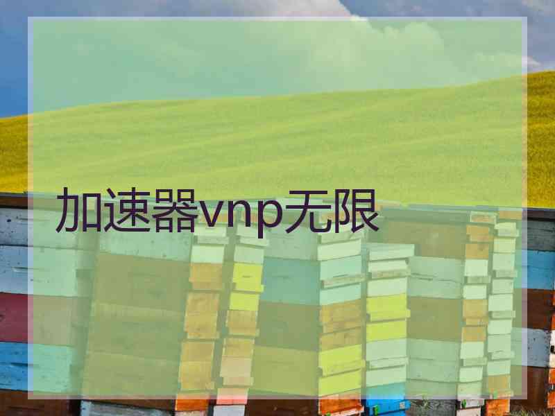 加速器vnp无限