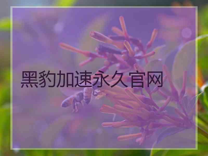 黑豹加速永久官网