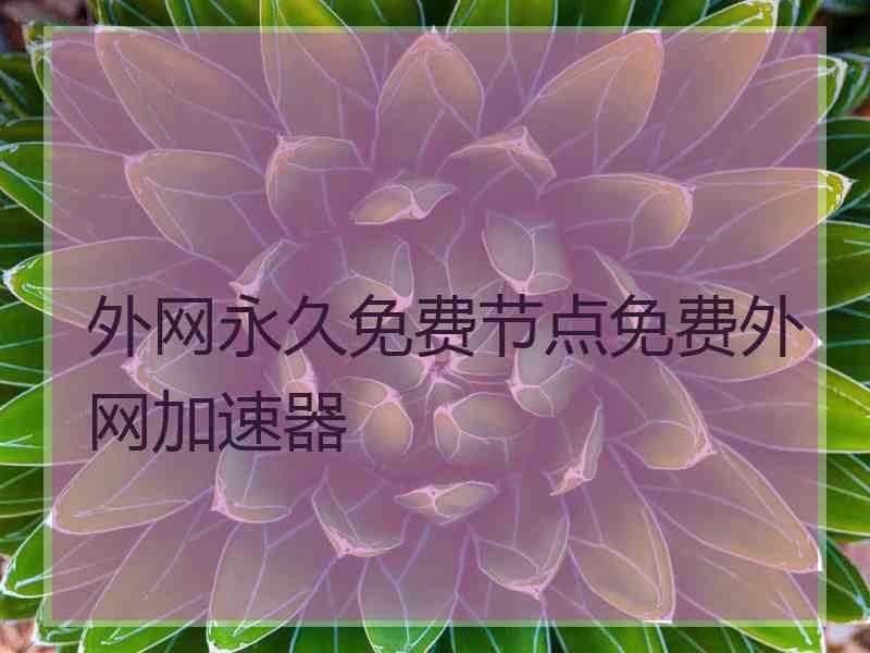 外网永久免费节点免费外网加速器