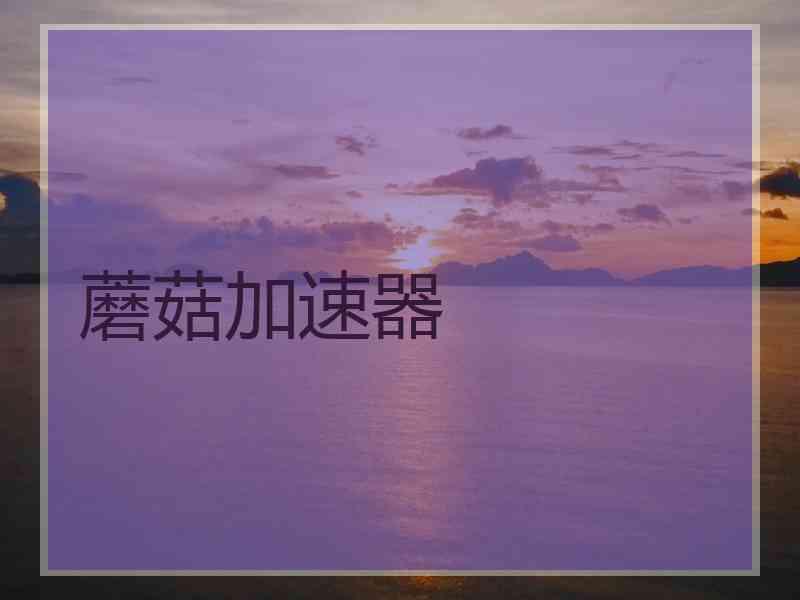 蘑菇加速器